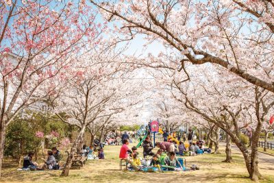 【4/6(土)】 桜まつりステージイベント＠袋公園 | 春のイベント
