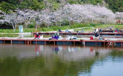長熊釣堀センターのヘラブナ釣り大会（春と秋） | 春のイベント